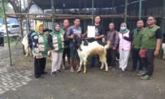 berita-pilihan-foto